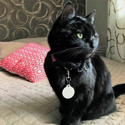 Kevyt lemmikin nimilaatta