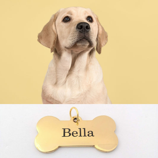 Koiran nimilaatta kullanvärinen, ruostumaton teräs