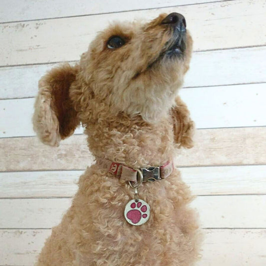 Lemmikin kimaltava pyöreä nimilaatta