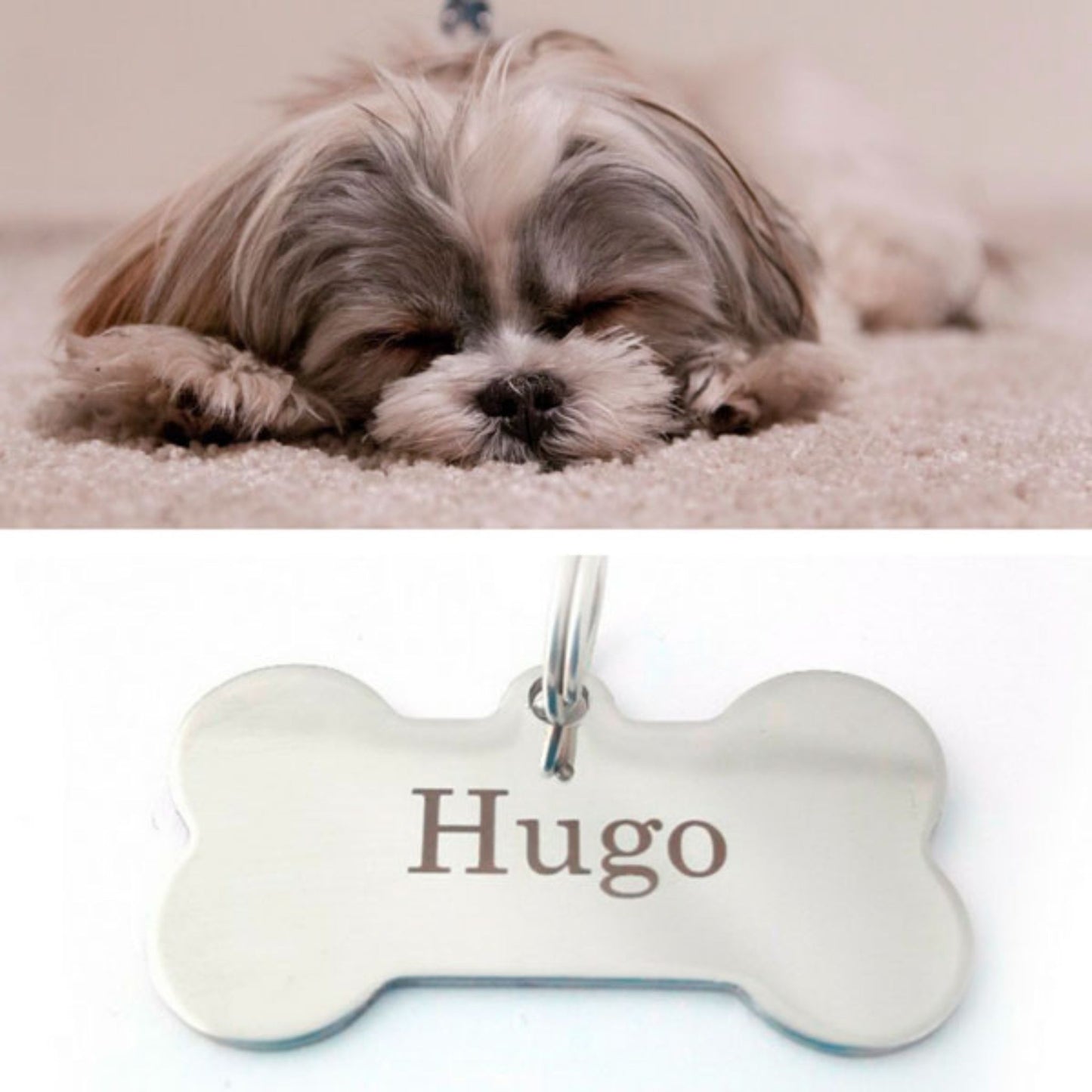 Koiran nimilaatta, Ruostumatonta terästä