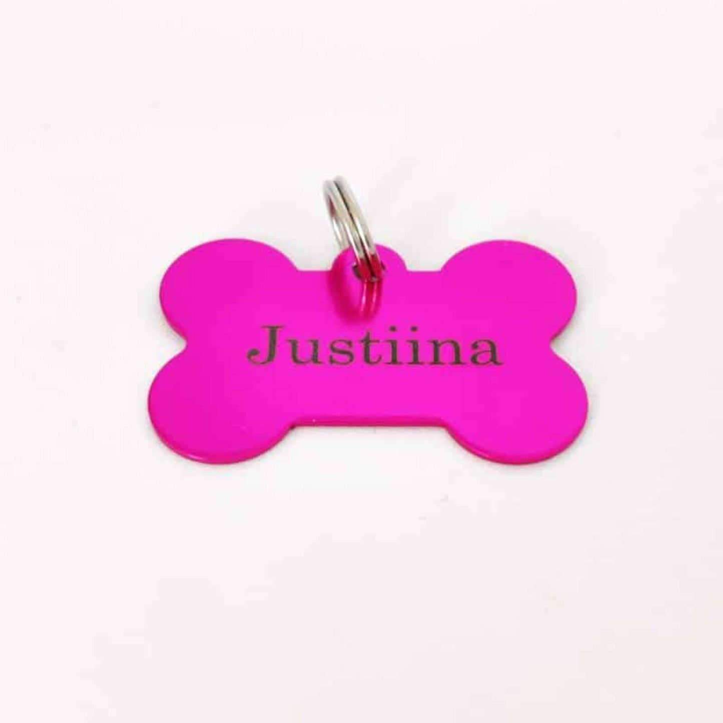 Koiran värillinen kevyt nimilaatta